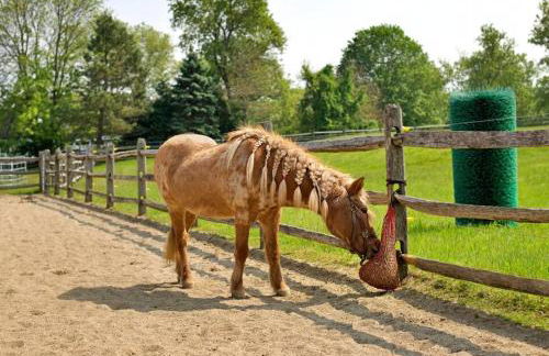 Dunover Farm. One bedroom apartment. - Foto 16