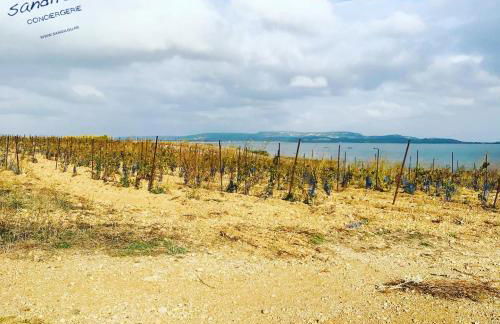 Mobilhome Loulousab10 Vacances cosy en famille chiens bienvenus - Foto 26