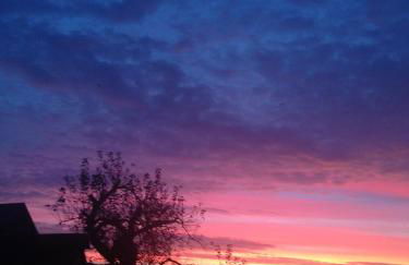 Rew Farm Country & Equestrian Accommodation - Sunrise Lodge - Foto 59