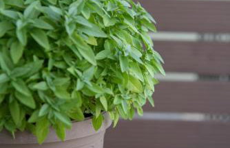 Casa Di Famiglia - Foto 38