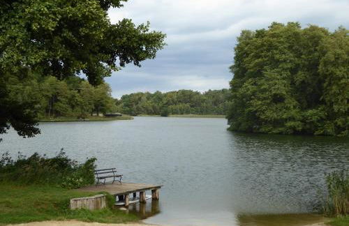 Ferienhof Rätzsee - Foto 3