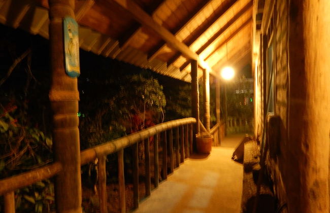 Dogs and Fish Dream Land - Foto 40