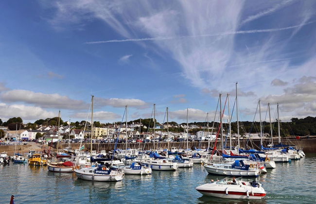 S r M r - Log Burner Peaceful Cottage Dog Friendly - Foto 16