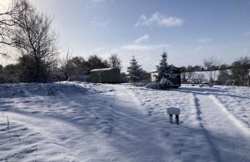 The Shepherd's Hut with cozy logburner - Foto 12