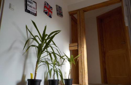 Ferienhaus Schock - Foto 12