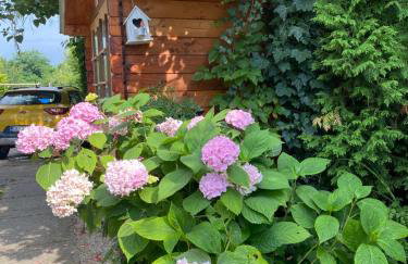 Apartment Hiža 38 - Foto 15