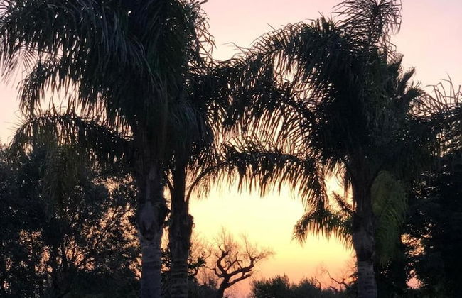 Affittacamere Paduli Piani - Photo 34