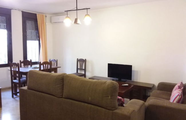 Casa Tipica Cordobesa en la Juderia - Photo 16