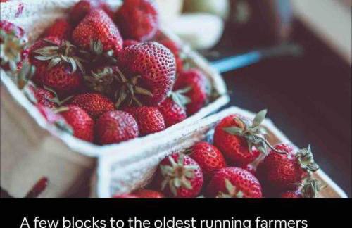 Rittenhouse Square near Kimmel Center Studio Suite - Photo 27