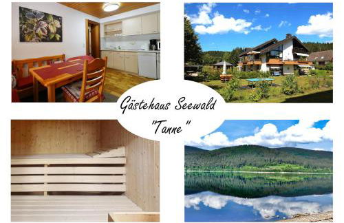 Gästehaus Seewald- Ferienwohnung 3 "Tanne", Schluchsee, Blasiwald - Foto 1
