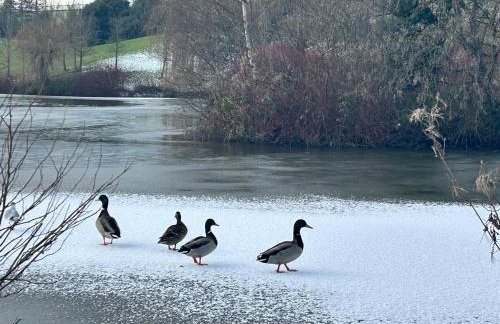 Dovefield House - Modern 3 Bed Home from Home - Alton Towers, Uttoxeter Races - Foto 44