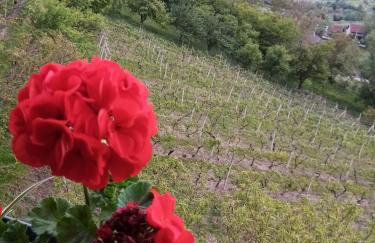 Apartman 2 - Foto 15