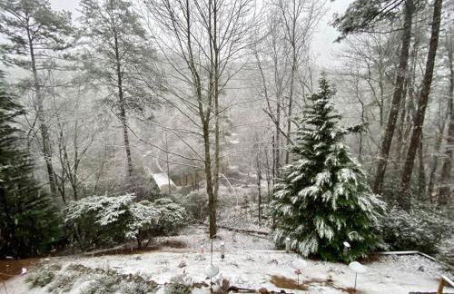 Mystic Creek Retreat (next to Blue Ridge) - Foto 27