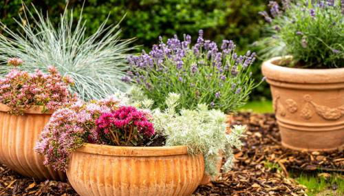 Dat Krautacker Huus - Foto 5, Garden, Garden view