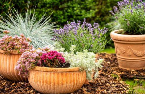 Dat Krautacker Huus - Foto 5