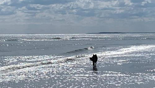 Villa Kehrwieder - Foto 3