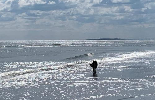 Villa Kehrwieder - Foto 3