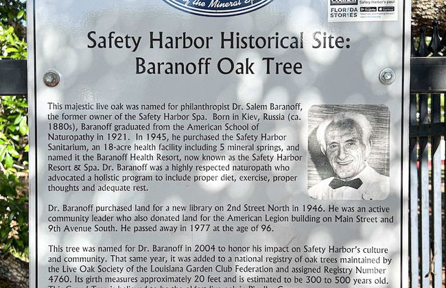 NEW Canopy Cabana Luxury Downtown Apt - Foto 21