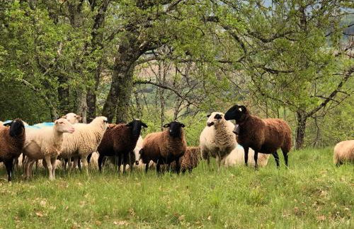 Charmant Chalet LE DAMELI, Village du Soleil, Chalet 61 - Foto 48