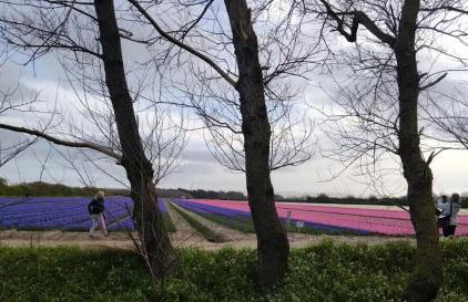 Trouz Ar Mor - Photo 22