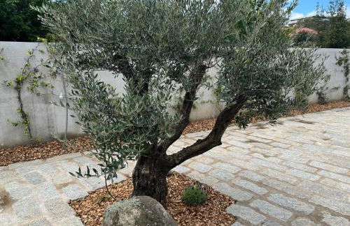 La petite maison Corse - Foto 4