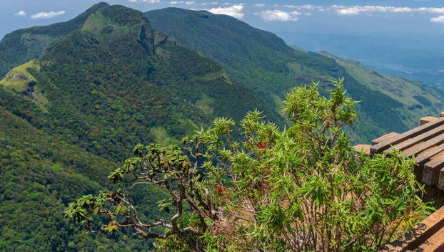 Excursión privada al Parque Nacional de las Llanuras de Horton