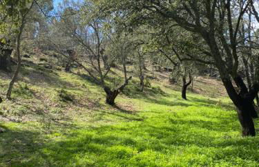 Alojamiento La Tana - Foto 25