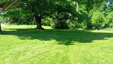 Our Parents Family Farm - Foto 5