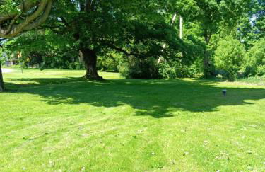 Our Parents Family Farm - Foto 5