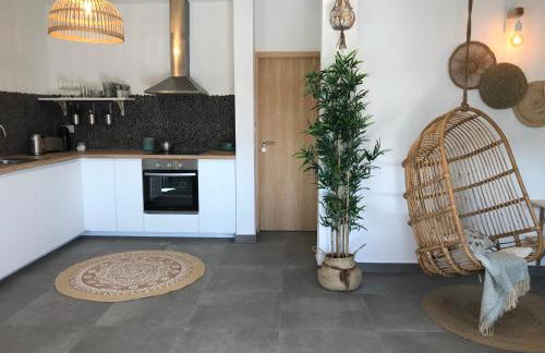 Bico das flores - Foto 13