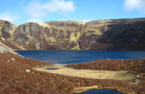 Westwood Cottage - Foto 45