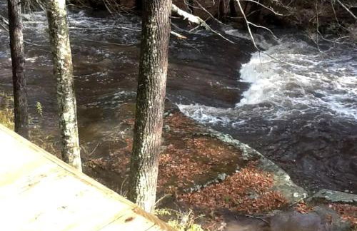 Rustic Cabin Retreat on the Ten Mile River in Narrowsburg, New York - Foto 35