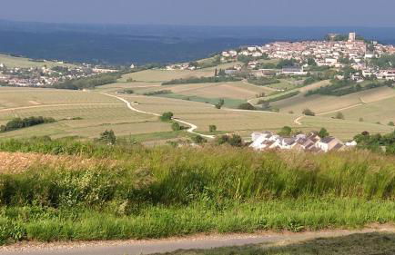 Location maison de vacances Sancerre - Foto 18