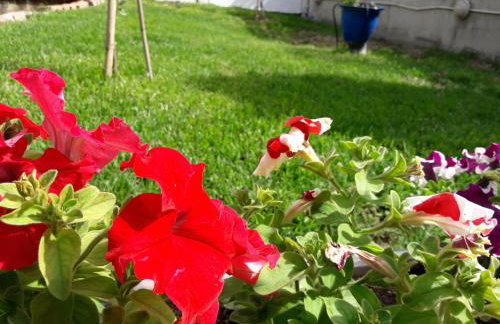 Hotel Dimitra - Foto 64