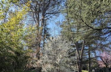 Le Stagioni del Parco - Foto 54