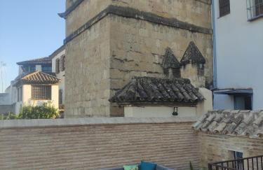 La Muralla de San Fernando de Córdoba - Foto 50