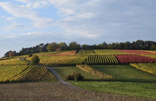 Ferienwohnung auf dem Dorf, Külsheim - Foto 58