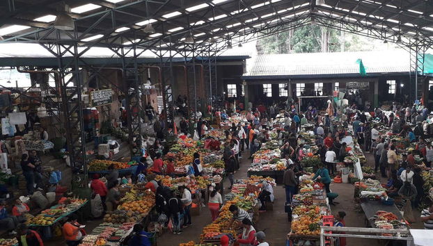 Tour the vibrant markets in Silvia