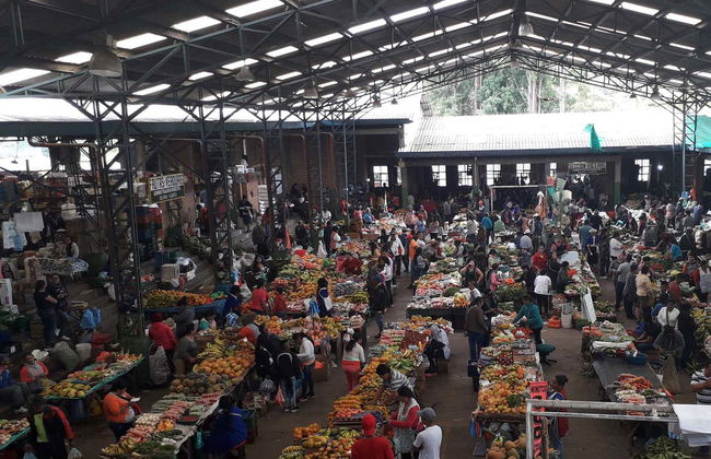 Tour of Local Markets + Trip to an Indigenous Community - Photo 4