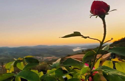 Domaine du Bois d'Amont - Foto 42