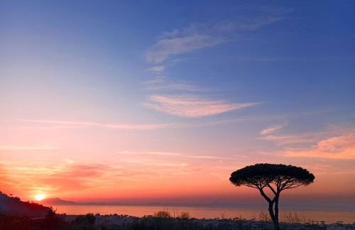 La Pigna Sorrento - Foto 8