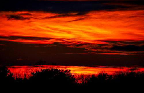 Luxe Spa Cabin: Hot Tub + Sauna + Fire - Foto 37