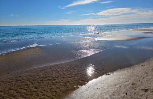 Casa Vikingo - Foto 18