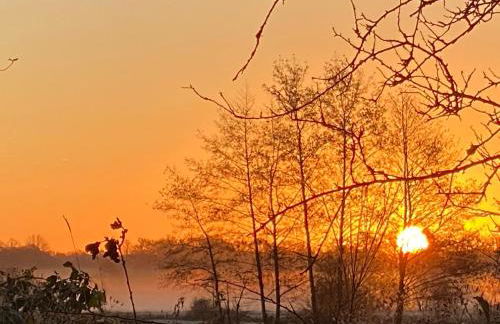 Friedeburga - Photo 22