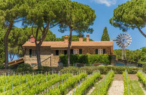 Fattoria di Magliano Winery - Foto 55