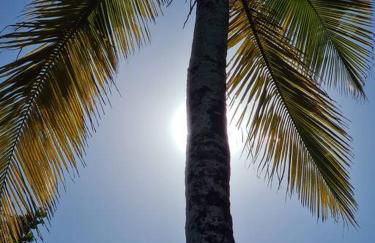 Santos, refúgio urbano em frente ao mar - Foto 14