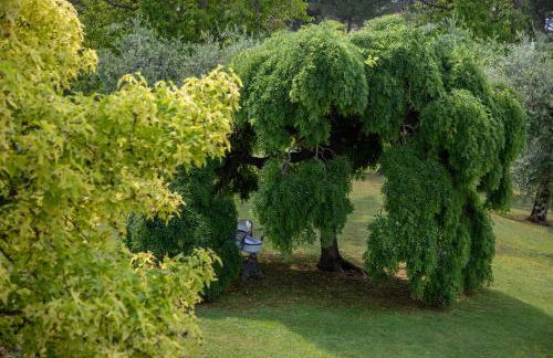 PODERI LA ROCCHETTA Countryside Estate on the Hills of Lake Garda - Foto 76