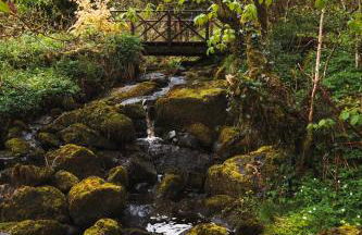 Luxury studio with HOT TUB and Stunning Gardens - Foto 12