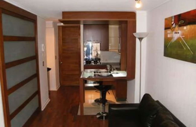 Santiago Suite Apartment - Photo 15