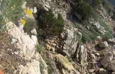 Cota Quinta - Foto 71